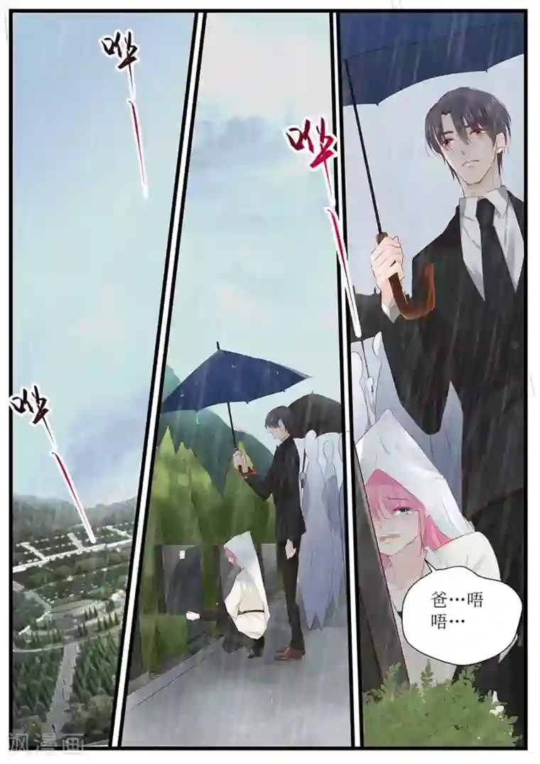 帝少的独宠计划第254话 葬礼