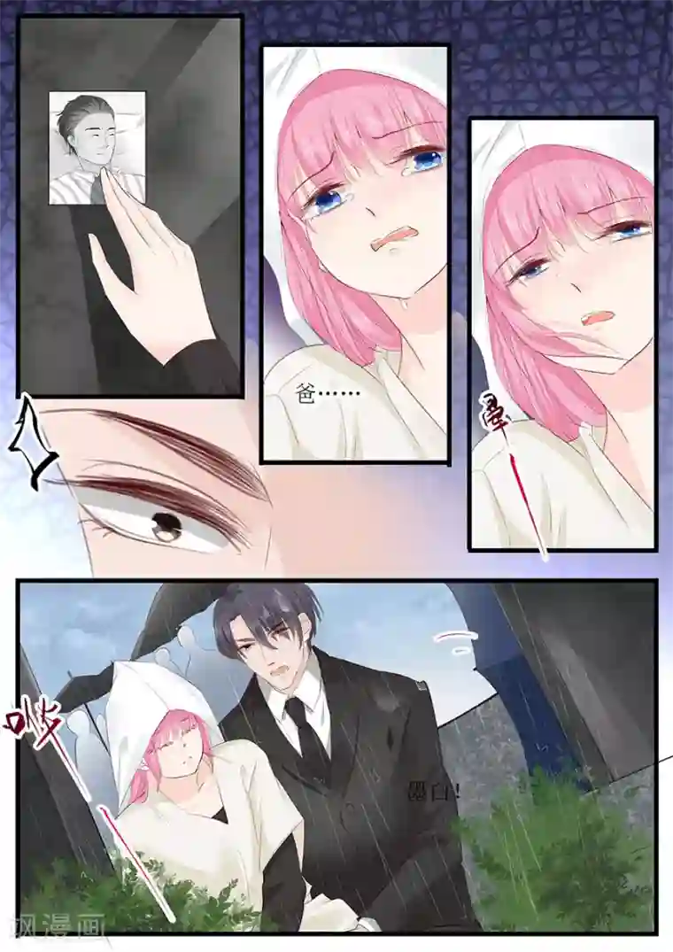 帝少的独宠计划第254话 葬礼