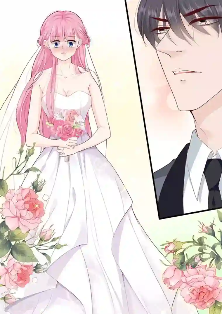 帝少的独宠计划第270话 试婚纱