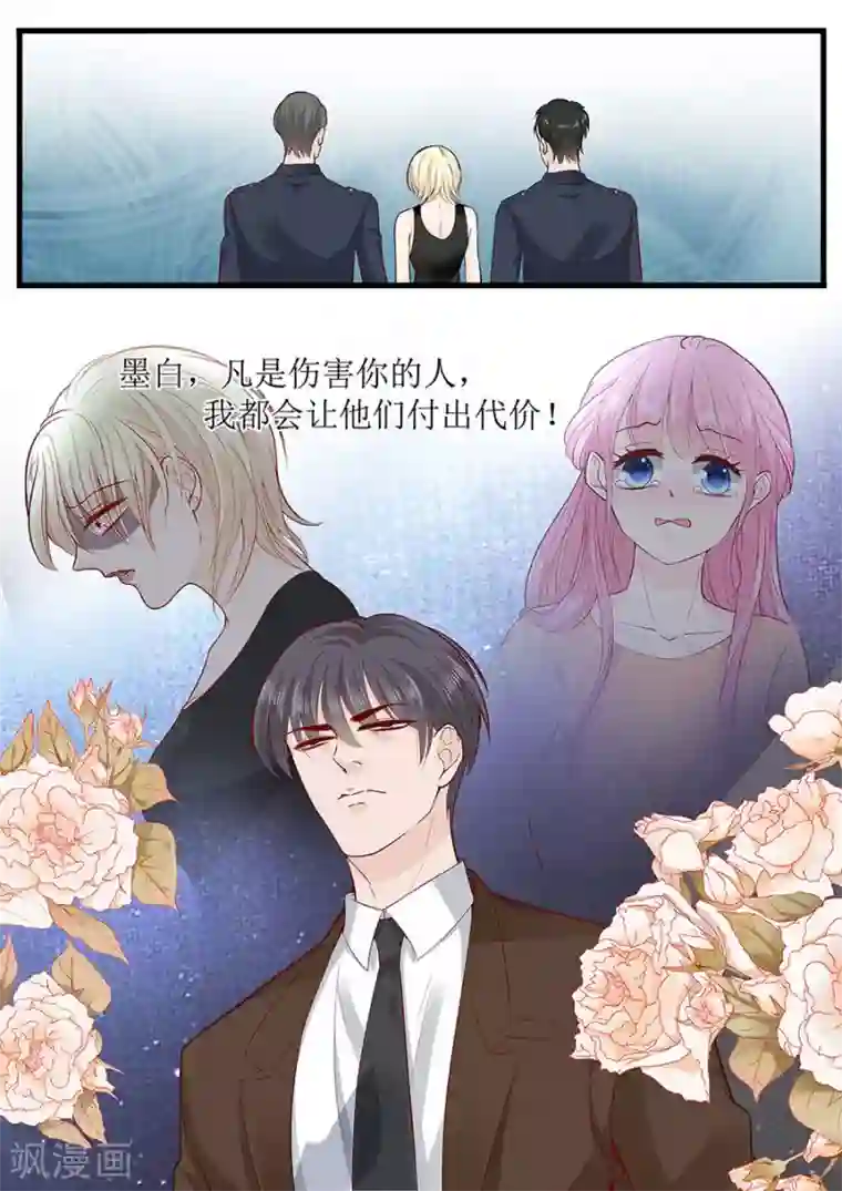 帝少的独宠计划第287话 制裁叶雪