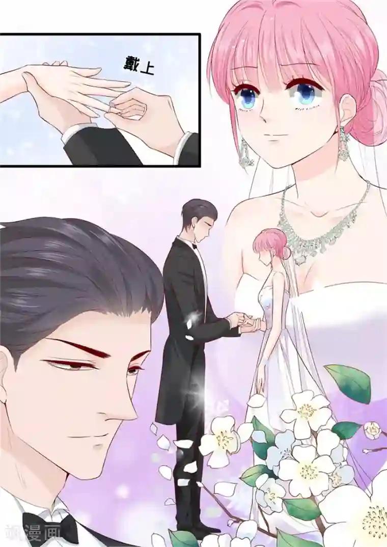 帝少的独宠计划第300话 疯狂的叶雪