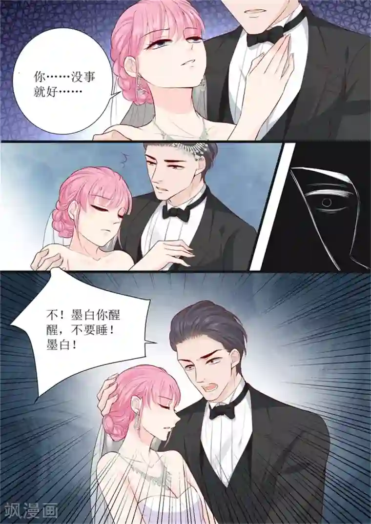 帝少的独宠计划第301话 艾氏