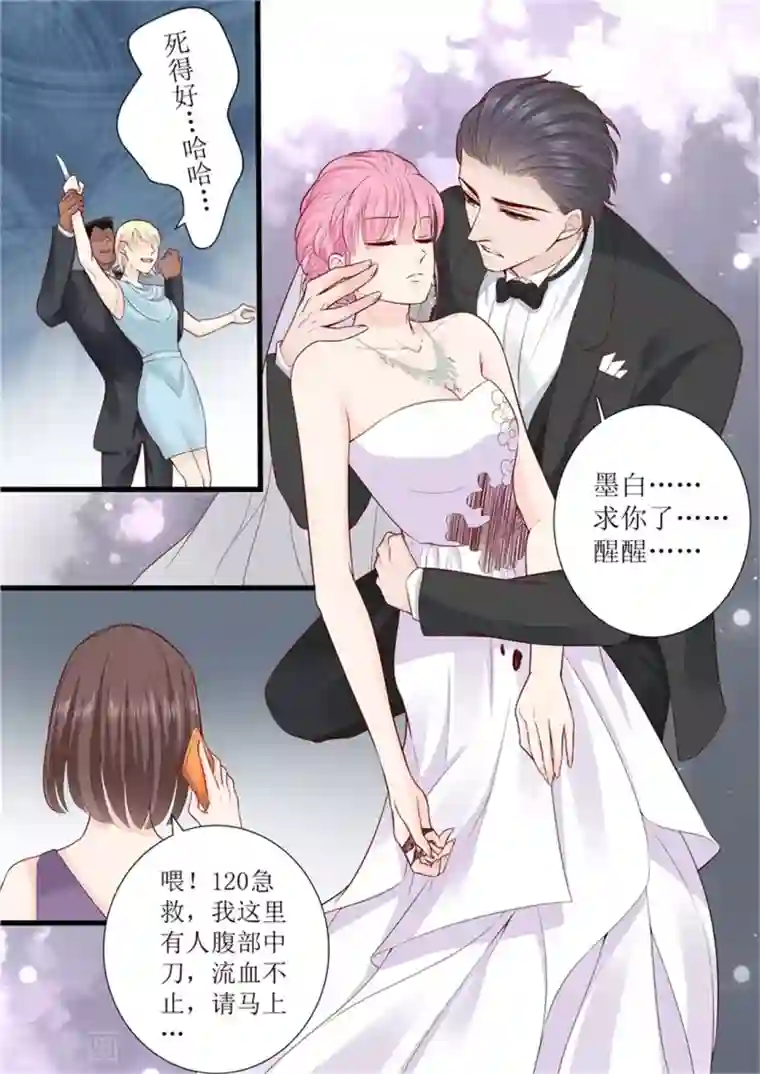 帝少的独宠计划第301话 艾氏