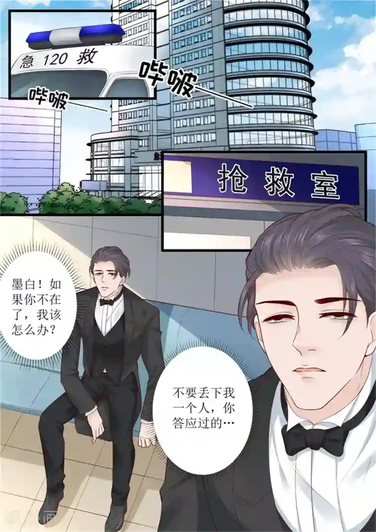 帝少的独宠计划第301话 艾氏