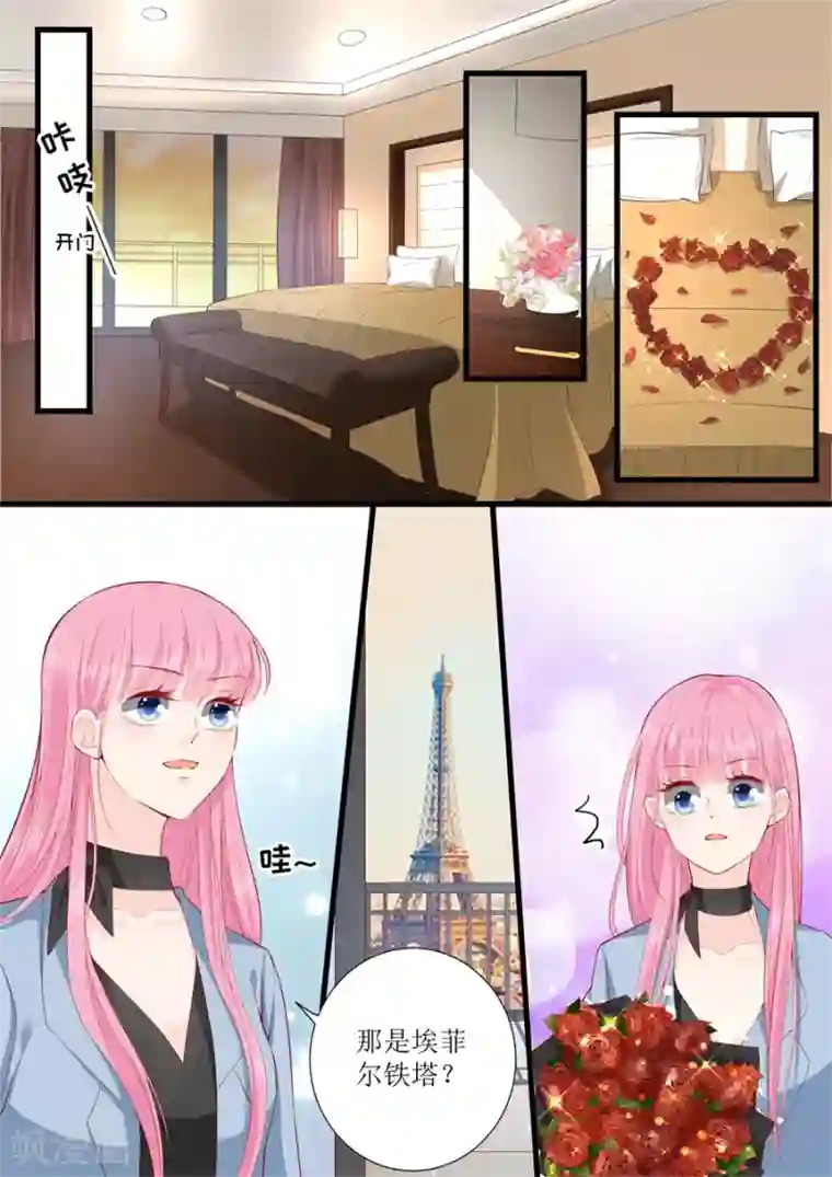 帝少的独宠计划第312话 巴黎之行