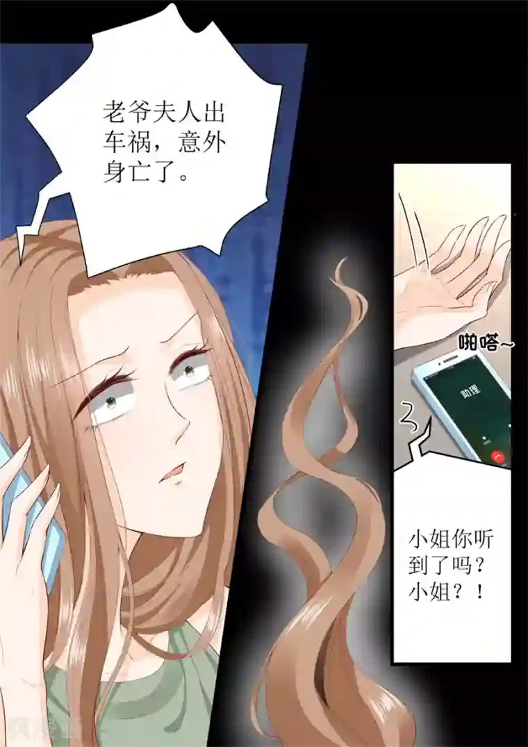 帝少的独宠计划第313话 事变