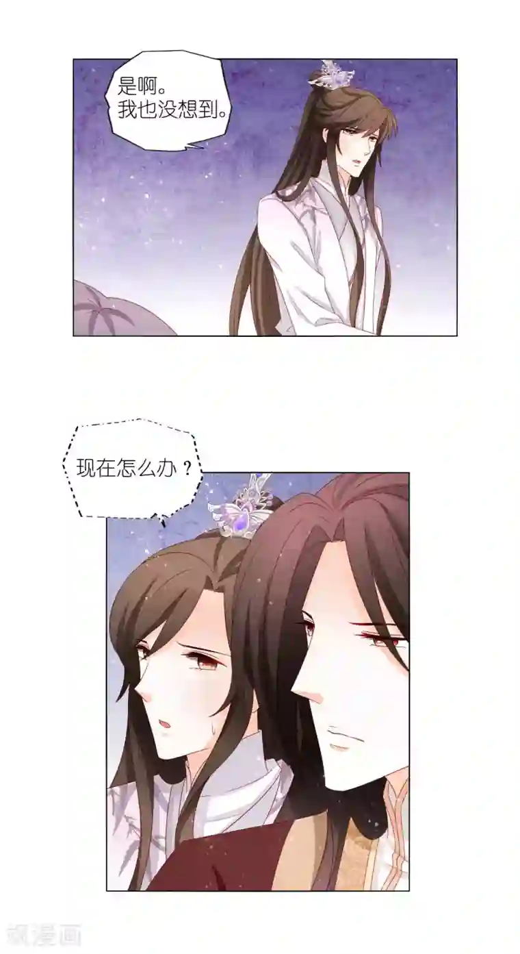 男妃女相第37话 两位公子我都想要