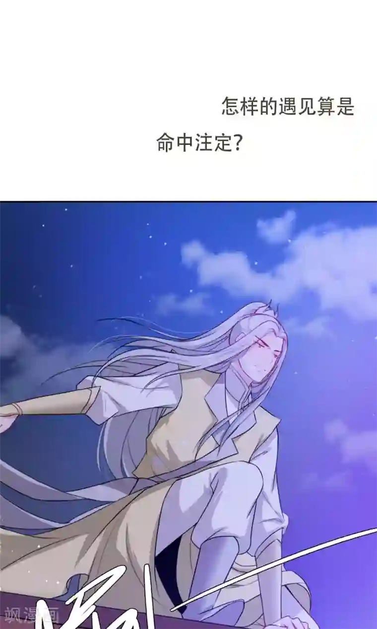 花美男护卫队预告