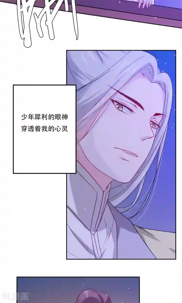 花美男护卫队预告