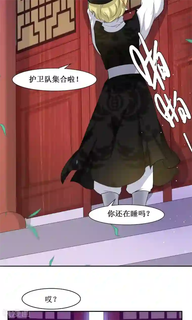 花美男护卫队序章 超强组合登场