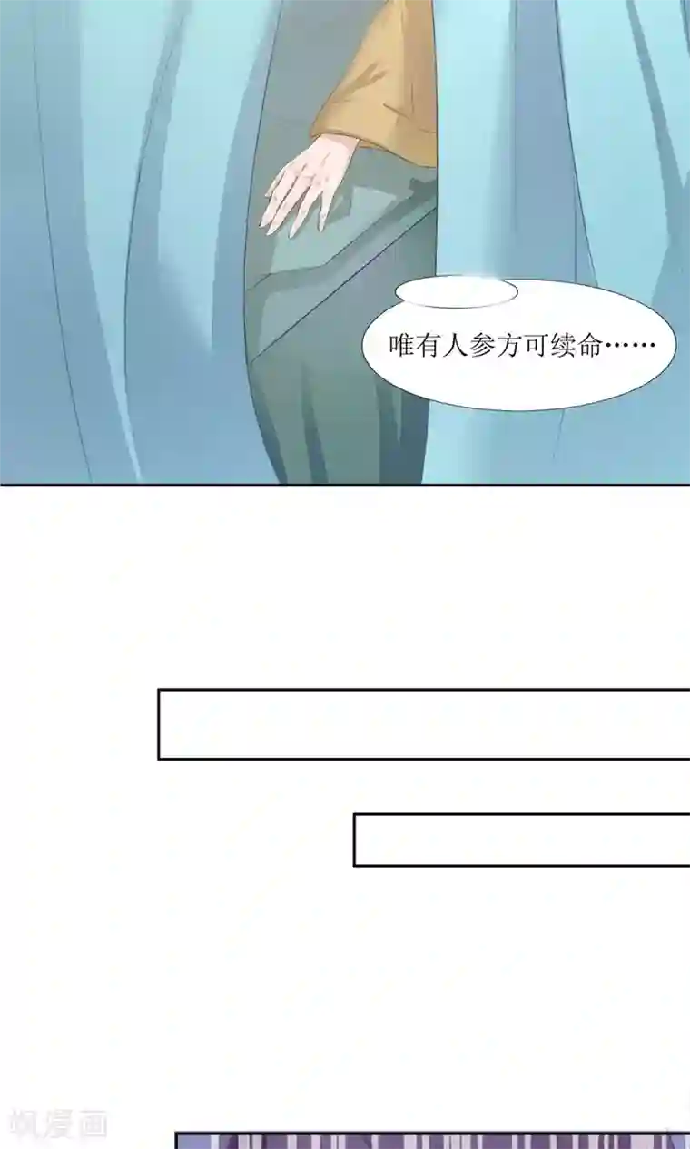 花美男护卫队第1话 邂逅