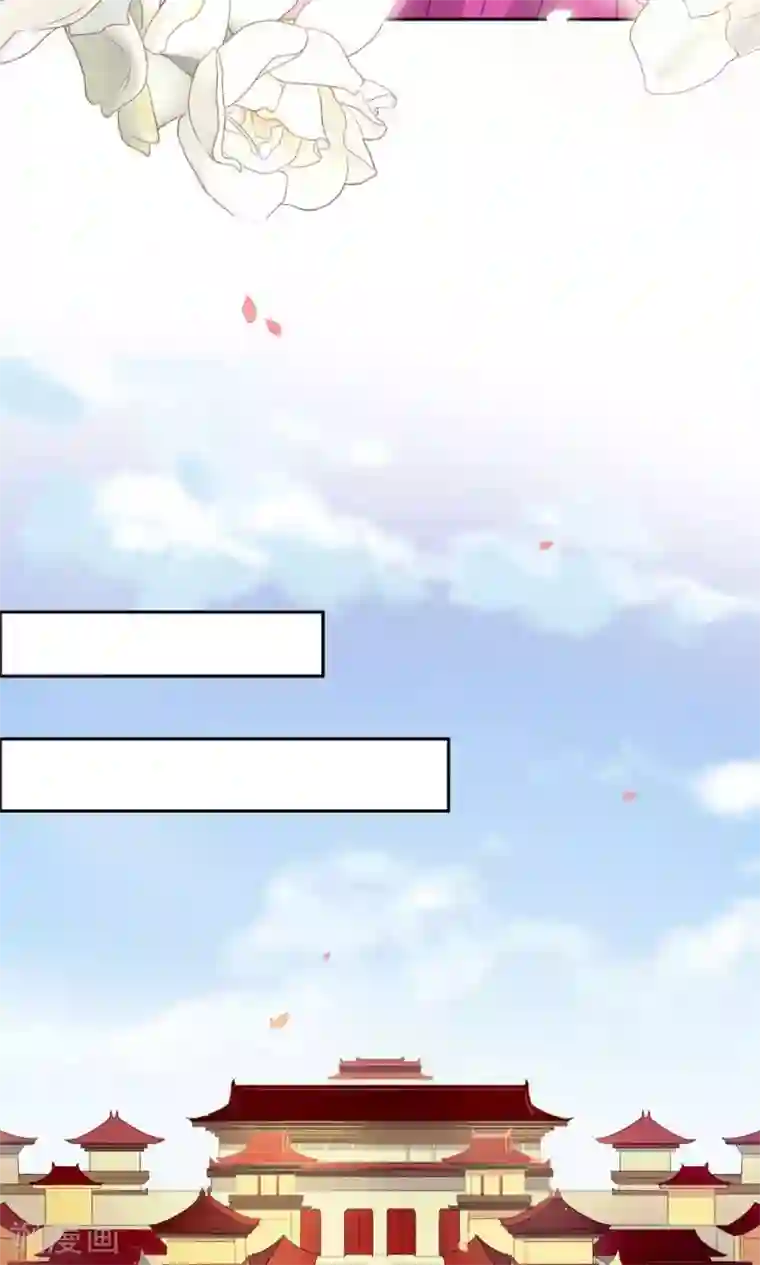 花美男护卫队第4话 选秀