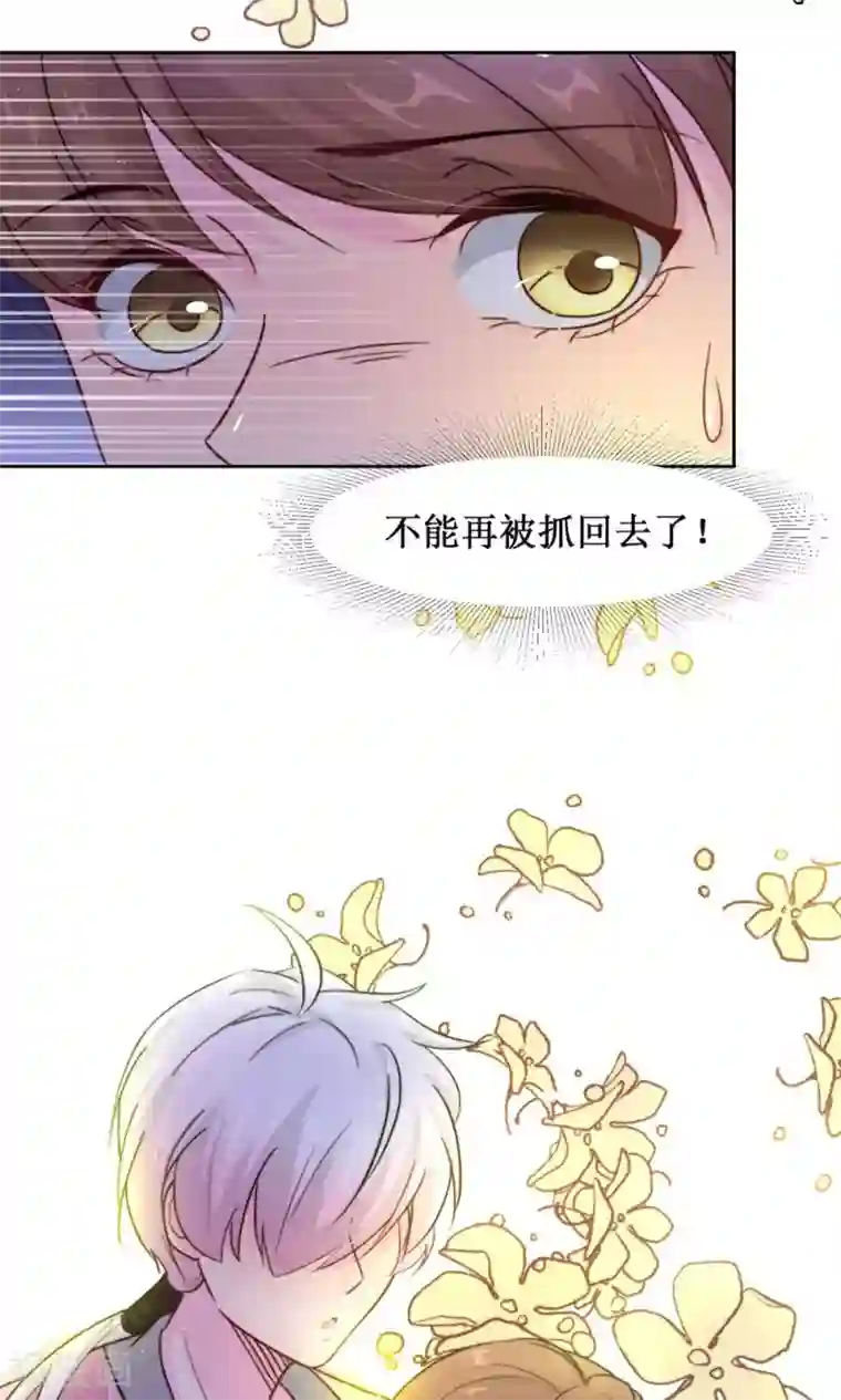 花美男护卫队第10话 巷子里的花美男