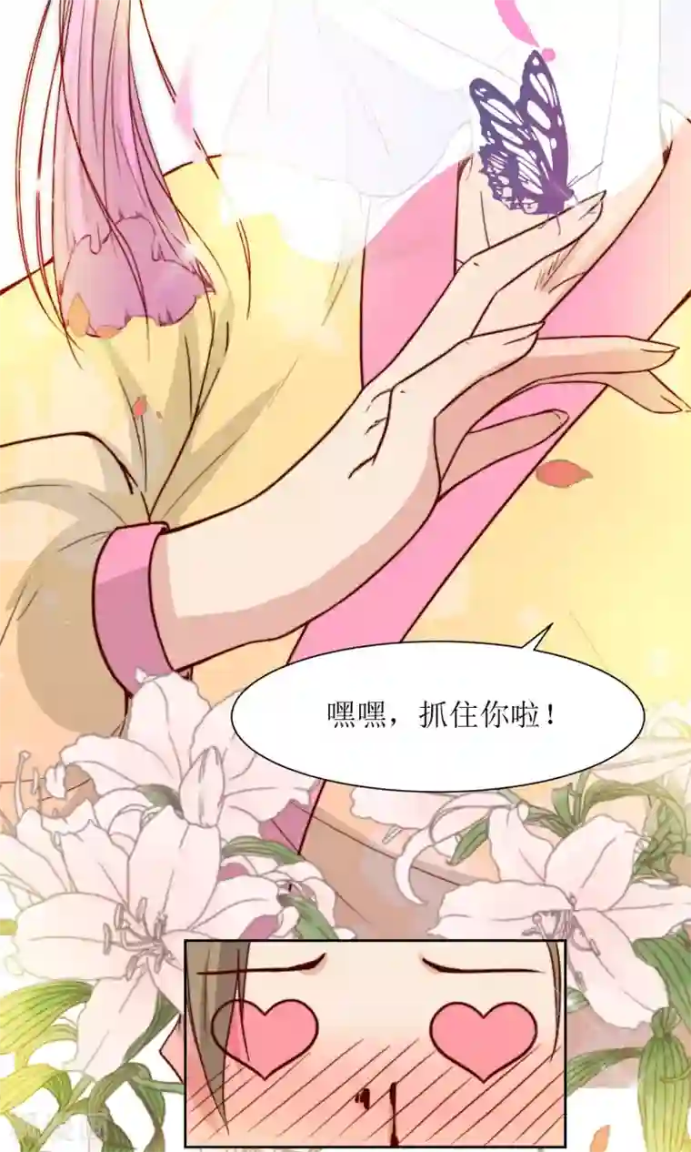 花美男护卫队第25话 追蝴蝶的女子