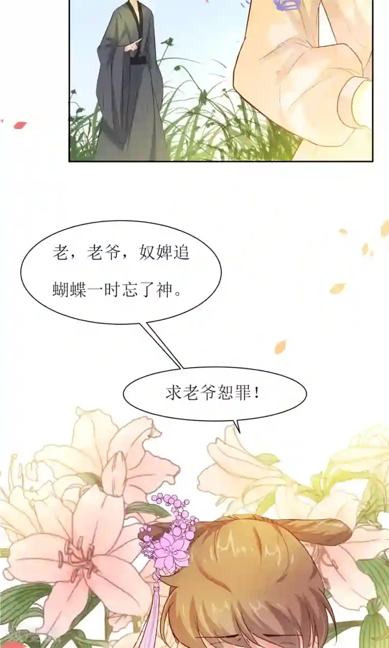 花美男护卫队第25话 追蝴蝶的女子