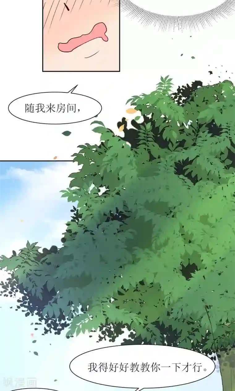 花美男护卫队第25话 追蝴蝶的女子