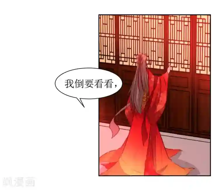 花美男护卫队最终话 洞房