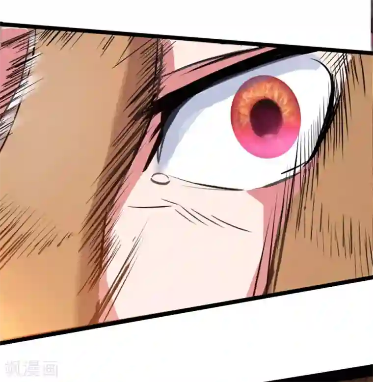 追天第6话 小鸟不见了