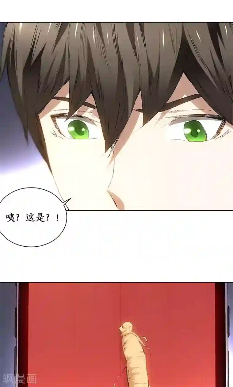 我本废柴第19话 木芝草