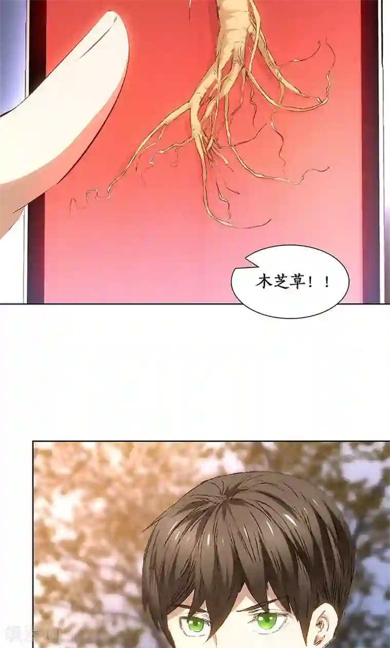 我本废柴第19话 木芝草