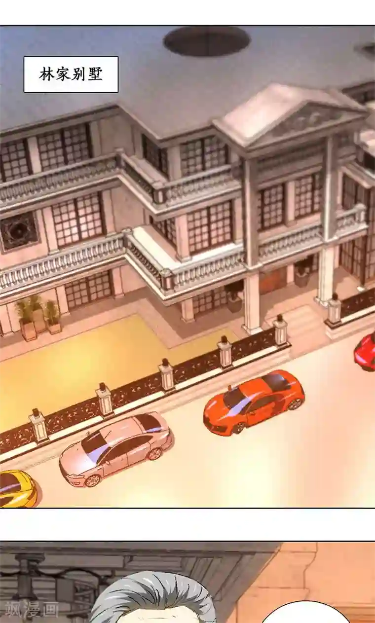 我本废柴第26话 回林家