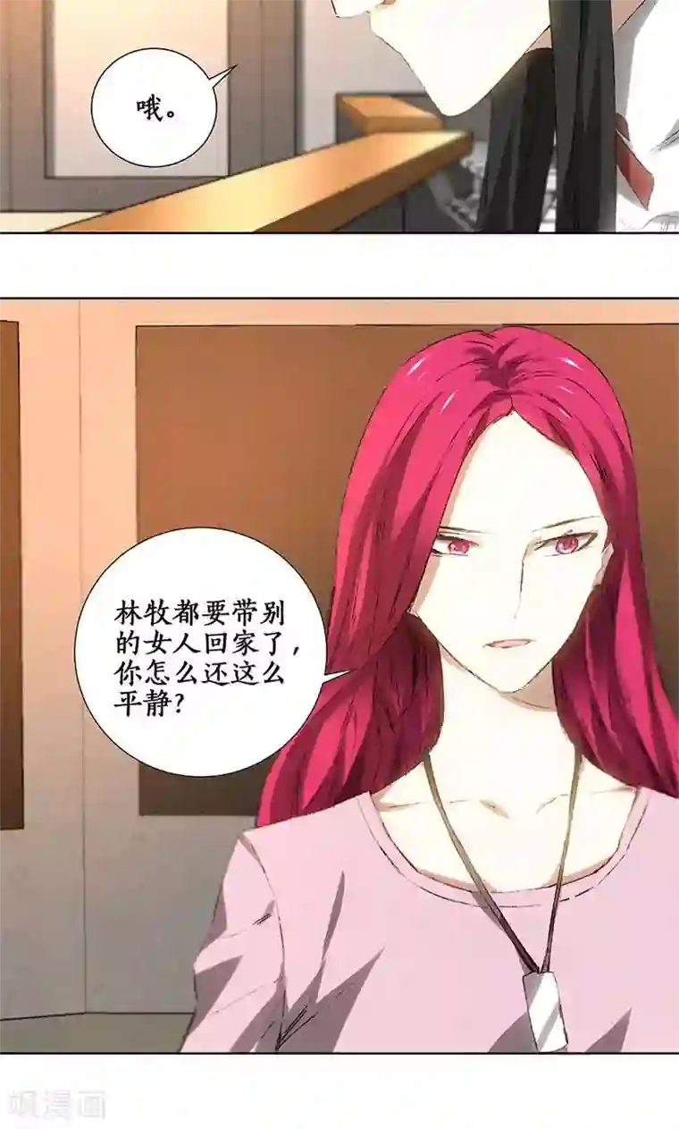 我本废柴第26话 回林家