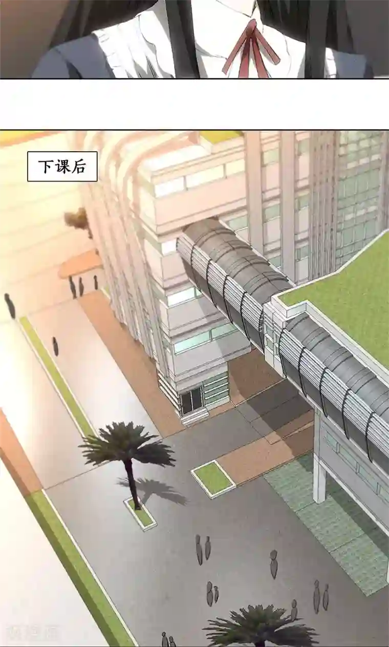 我本废柴第26话 回林家