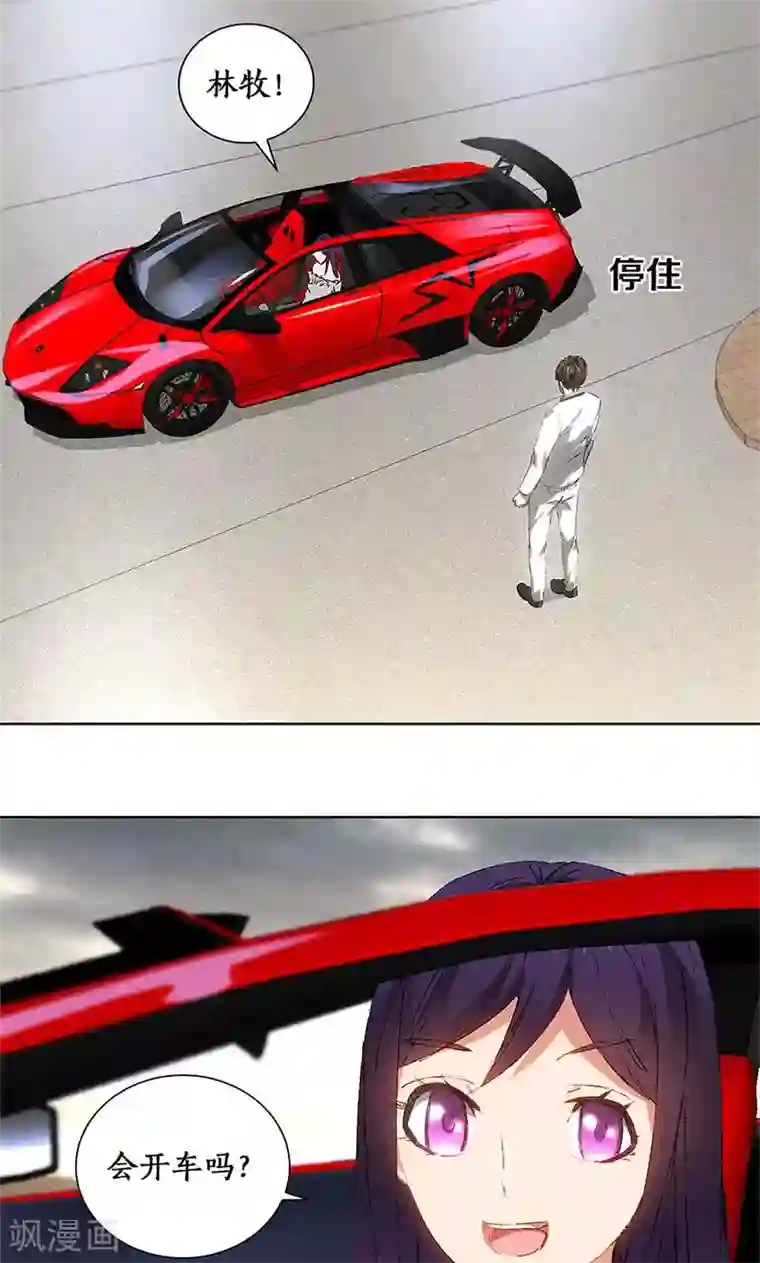 我本废柴第26话 回林家