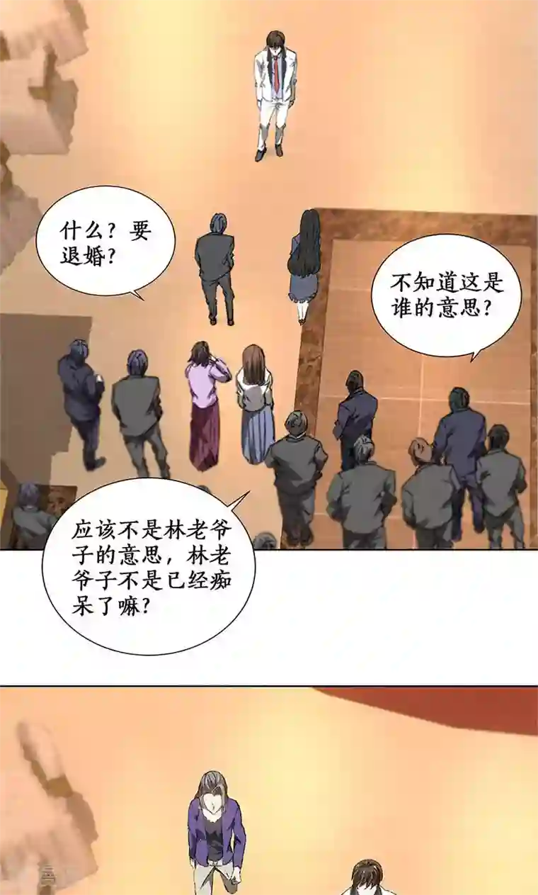 我本废柴第28话 遗嘱