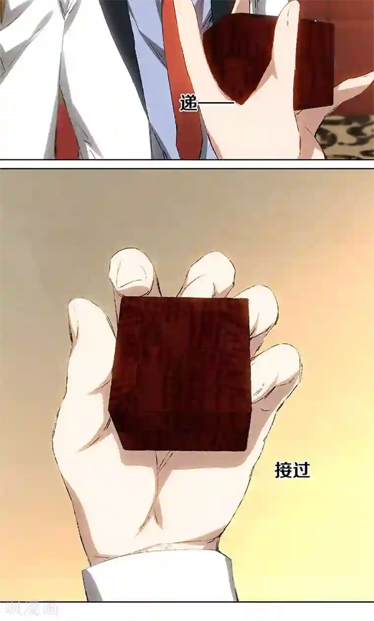 我本废柴第28话 遗嘱