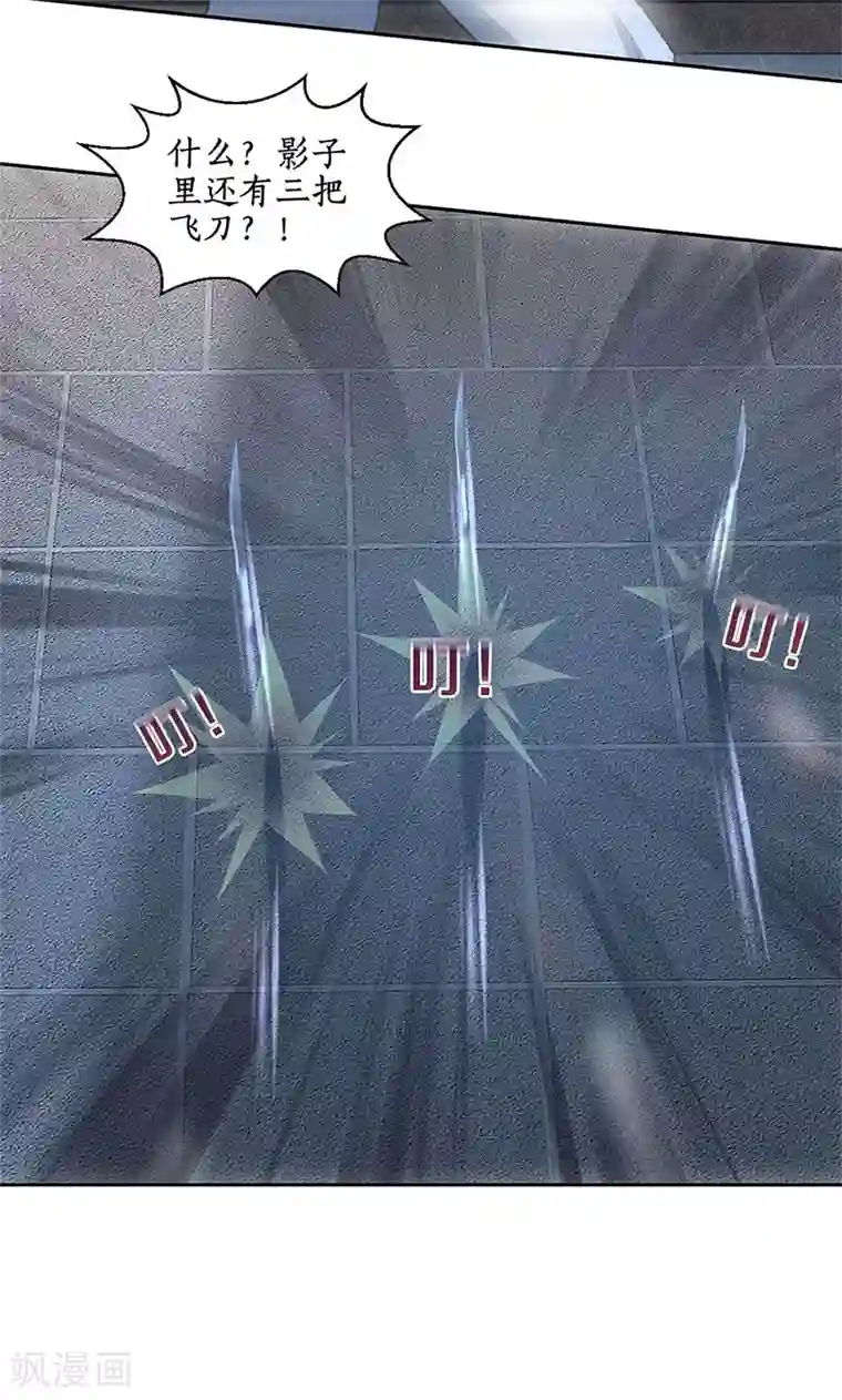 我本废柴第61话 影中之人