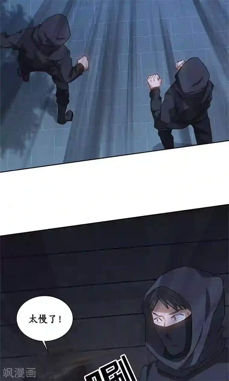 我本废柴第62话 雾影术