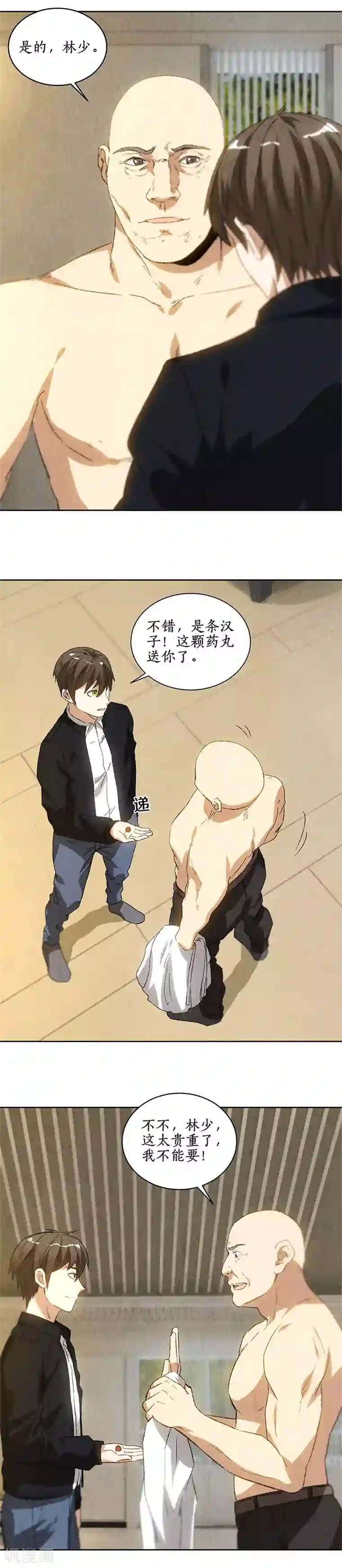 我本废柴第78话 药丸