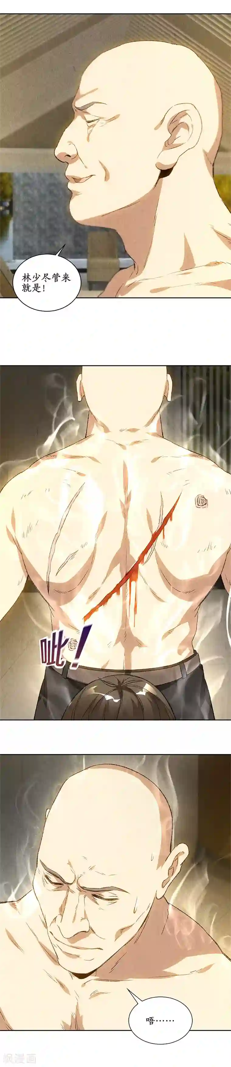 我本废柴第78话 药丸