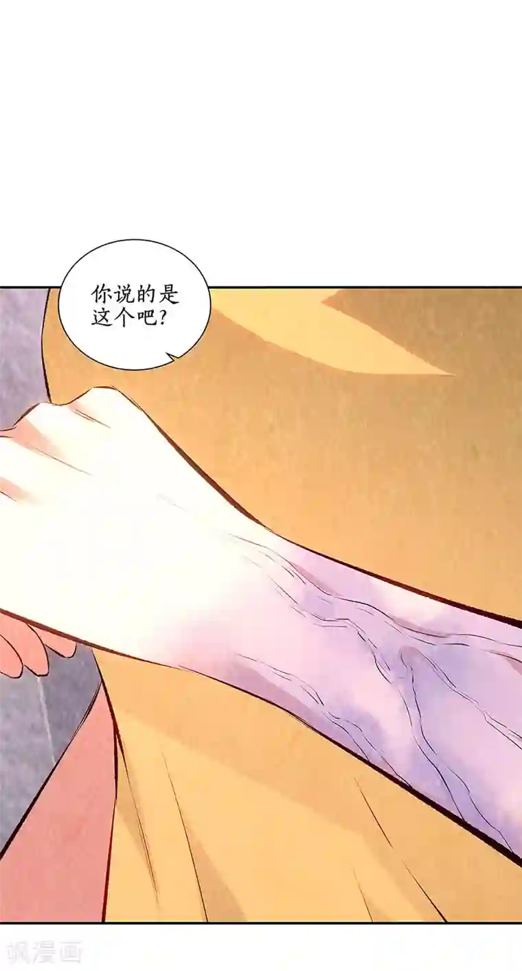 我本废柴第199话 贝贝家事