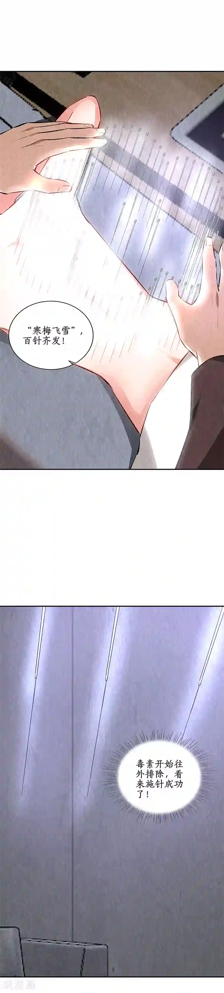 我本废柴第200话 寒梅飞雪