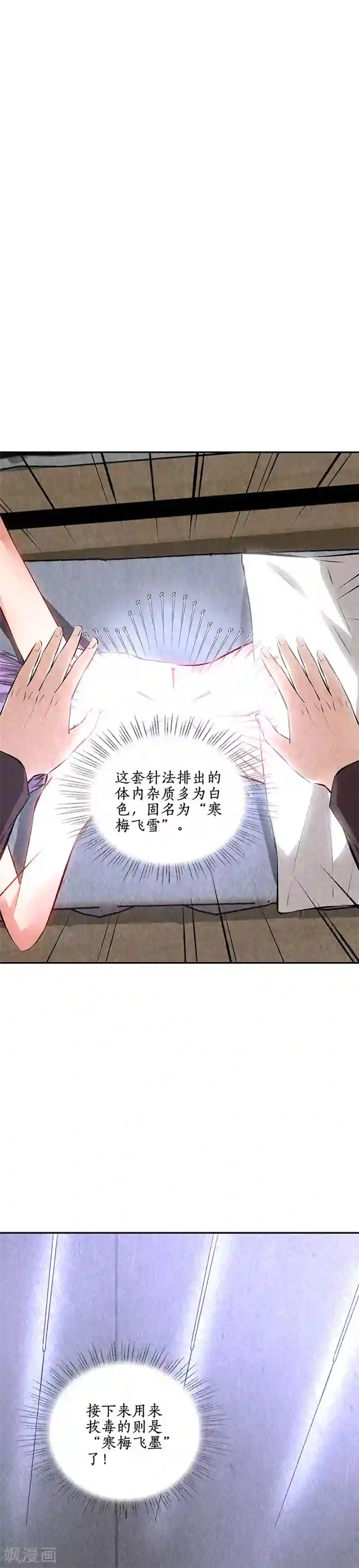 我本废柴第200话 寒梅飞雪