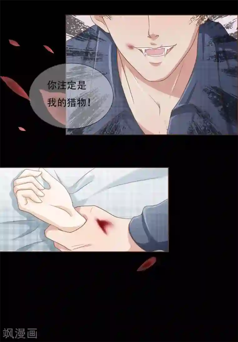 我的吸血鬼总裁预告