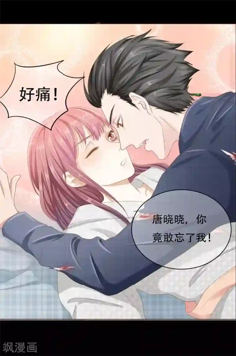 我的吸血鬼总裁预告