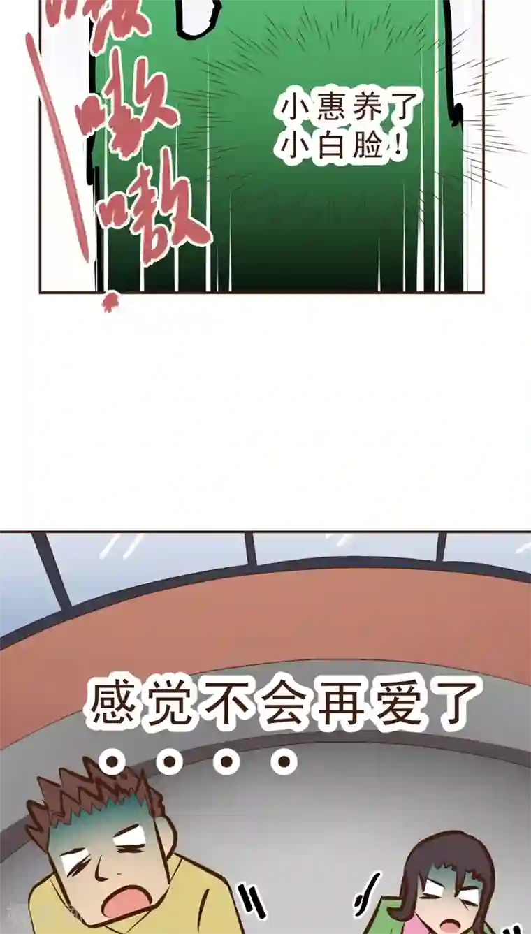 妙手仙医第11话 嗷！情人节！
