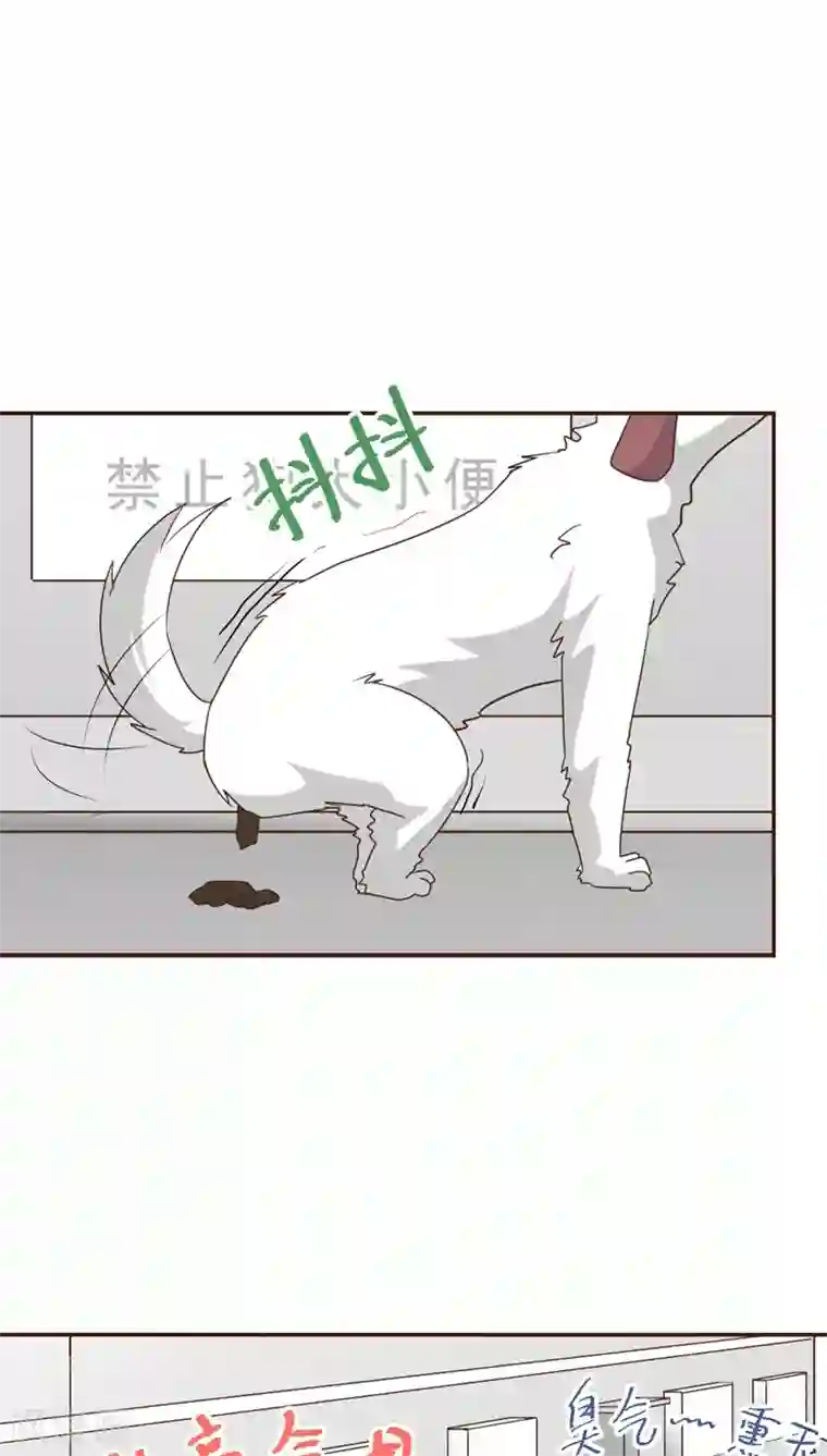 妙手仙医第15话 暴走的神弓(2)