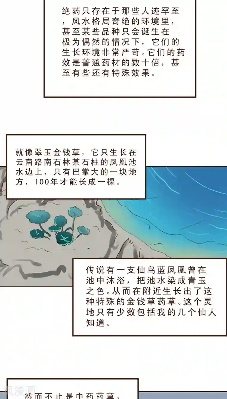 妙手仙医第31话 绝药为何物？