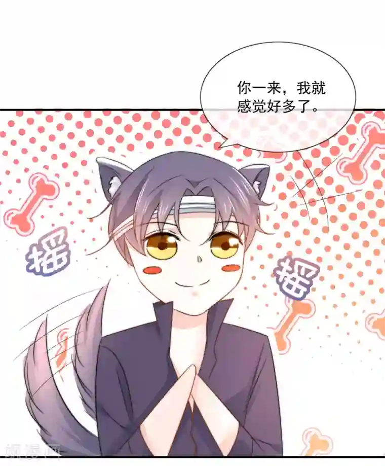 女神的谎言第15话 有多少人追你？