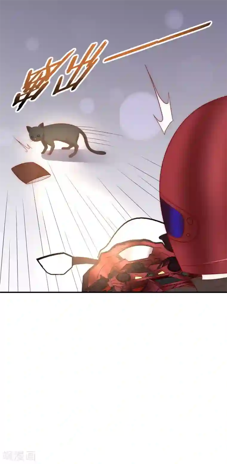 女神的谎言第38话 我的得力干将