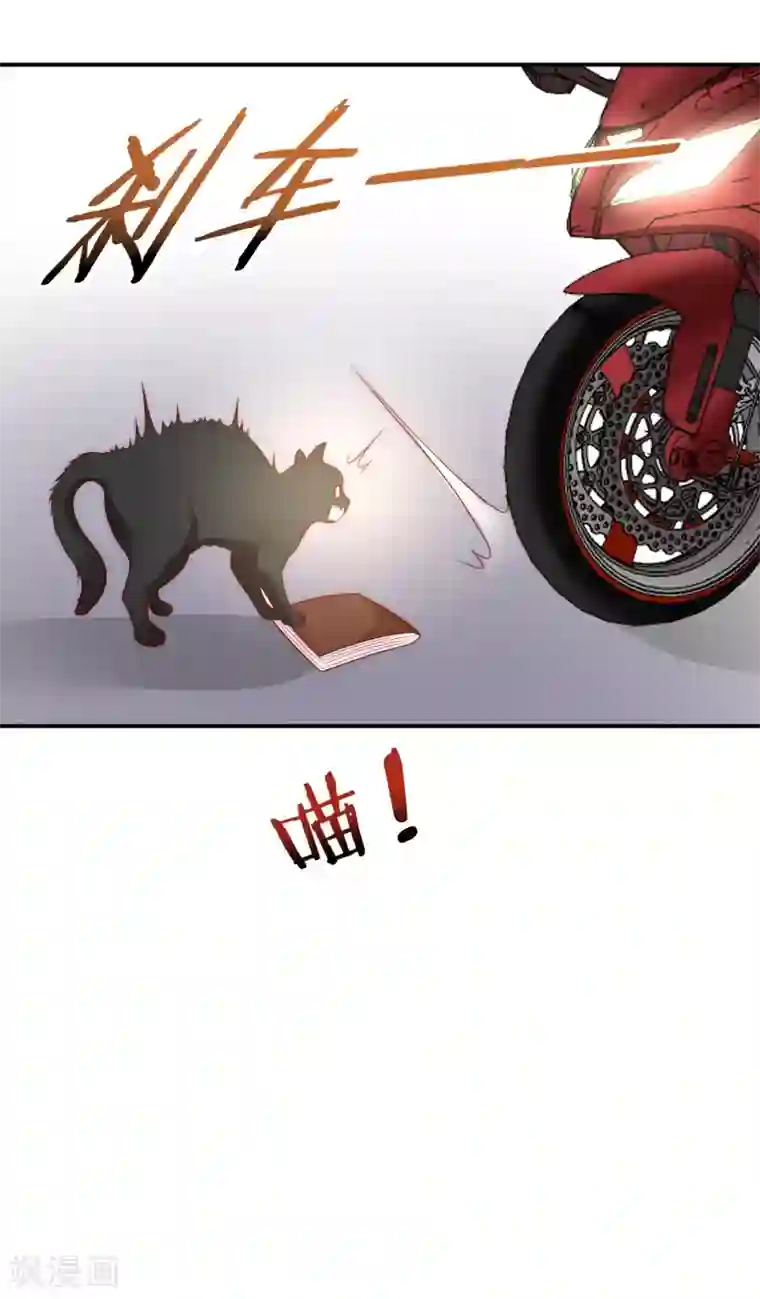 女神的谎言第38话 我的得力干将