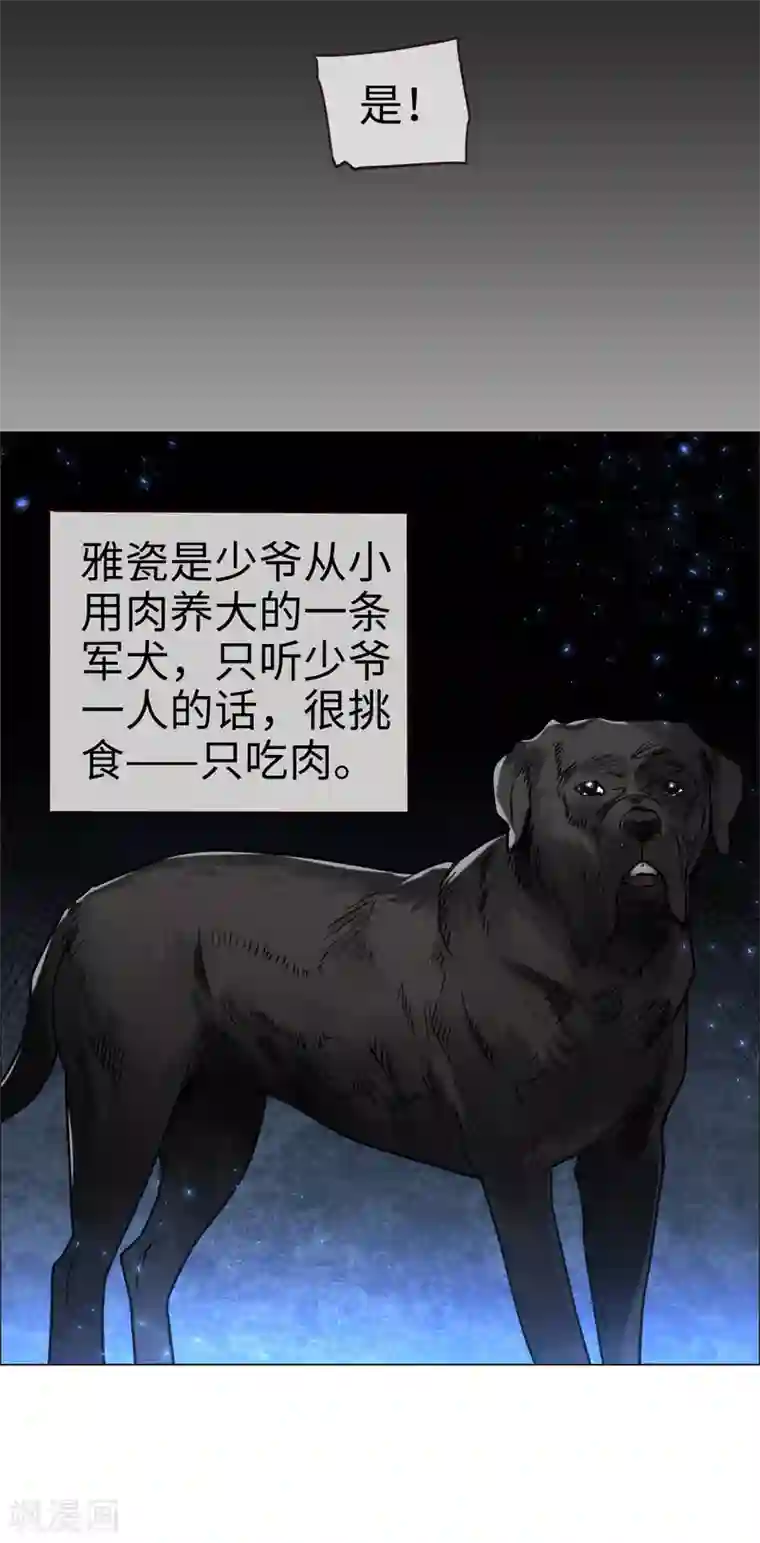 帝少，你老婆又跑了第54话 惊喜的峰回路转