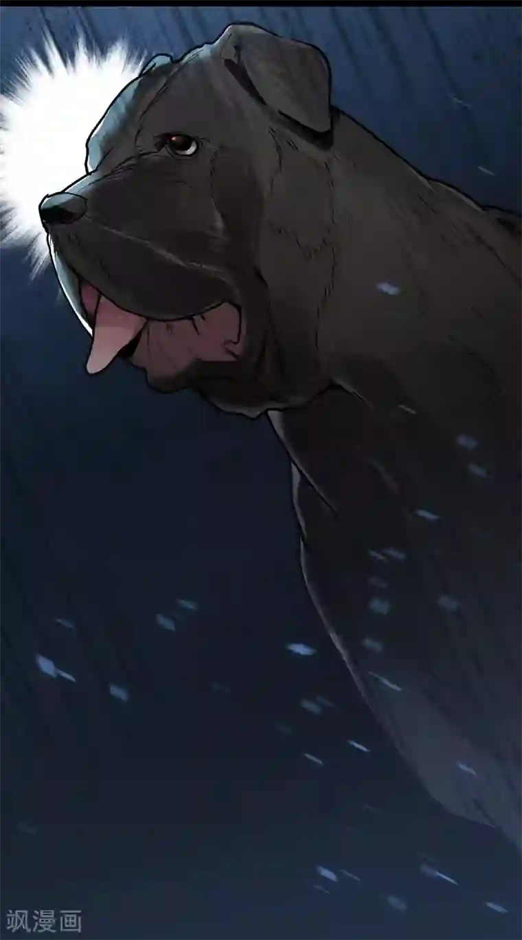 帝少，你老婆又跑了第54话 惊喜的峰回路转