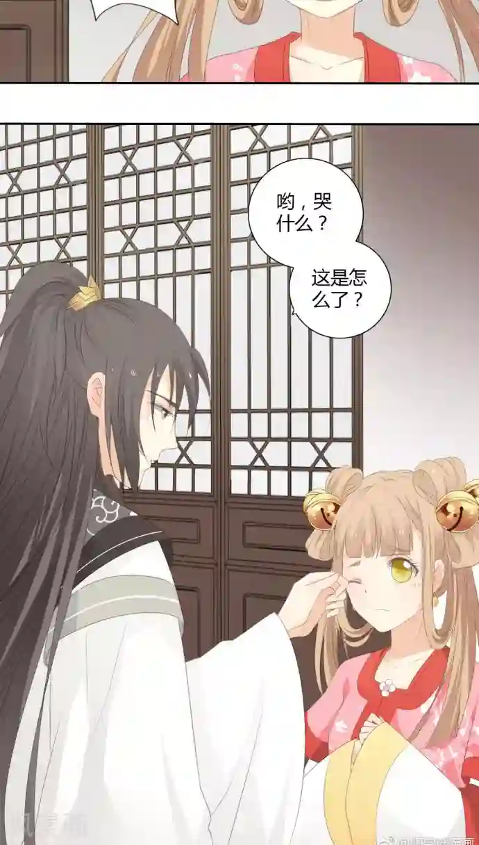秘密教学子豪免费42/下拉无遮挡