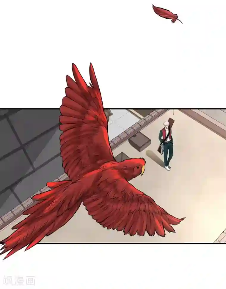 暗影猎人第9话 半路杀出个程咬金