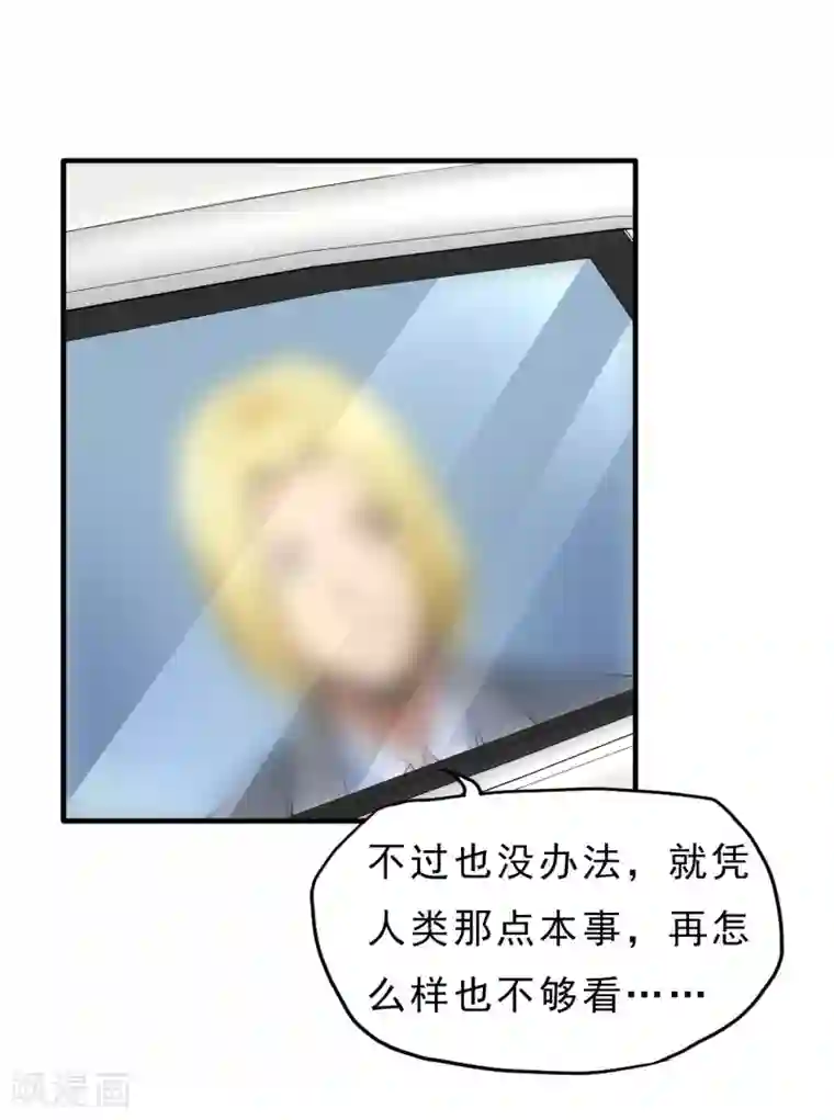 暗影猎人第33话 物理攻击无效